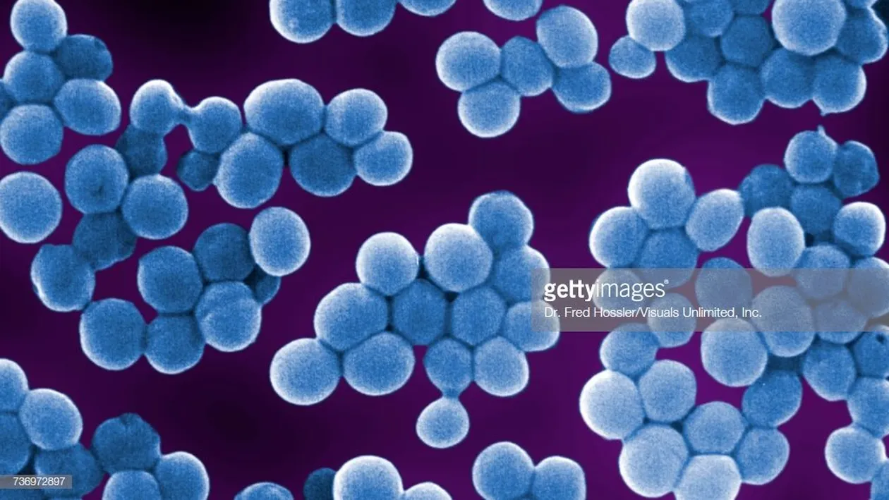 ALERTĂ! Bacteria ucigașă se poate răspândi în spitalele din lumea întreagă
