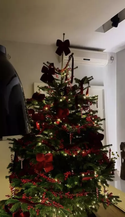 Cum arată casa Andreei Esca, decorată de Crăciun? Vedeta Pro TV a făcut bradul fără globuri