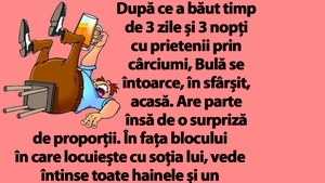 BANC | După ce a băut 3 zile cu prietenii, Bulă se întoarce acasă