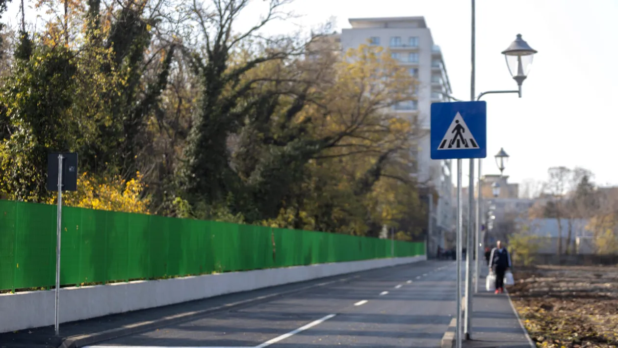 O femeie a devenit virală pe internet, după ce a depus plângere că n-a primit prioritate la o trece de pietoni. Ce i-au răspuns polițiștii