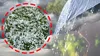 Prognoza meteo azi, 22 mai 2026. Cod galben de vânt în aceste zone din România! Ploile și grindina pot face ravagii