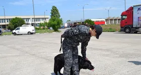 Galerie foto - poza 2