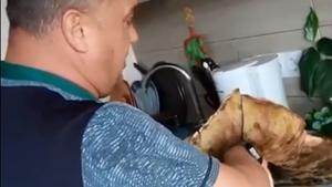 A mers în pădure și a avut parte de un șoc. Ce a descoperit un brașovean