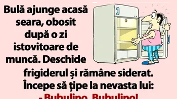 BANCUL ZILEI | „Bubulino, unde-s cele 12 beri din frigider?”