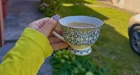 Galerie foto - poza 4