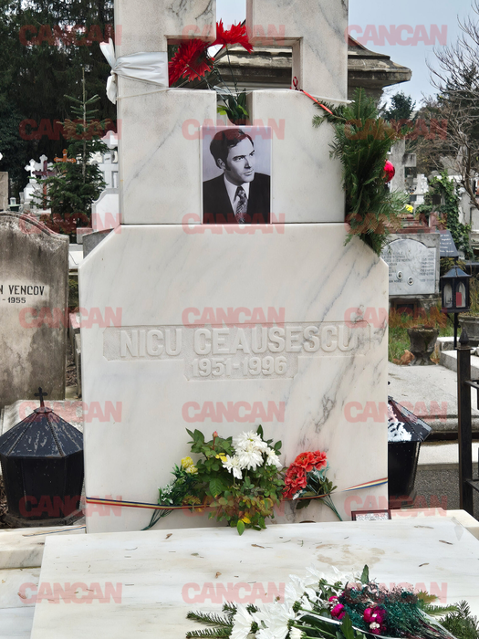 Mormântul lui Nicu, Zoia și Mircea Ceaușescu