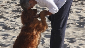 George Clooney are lipici la caini! Uite in ce ipostaze emotionante a fost fotografiat!!