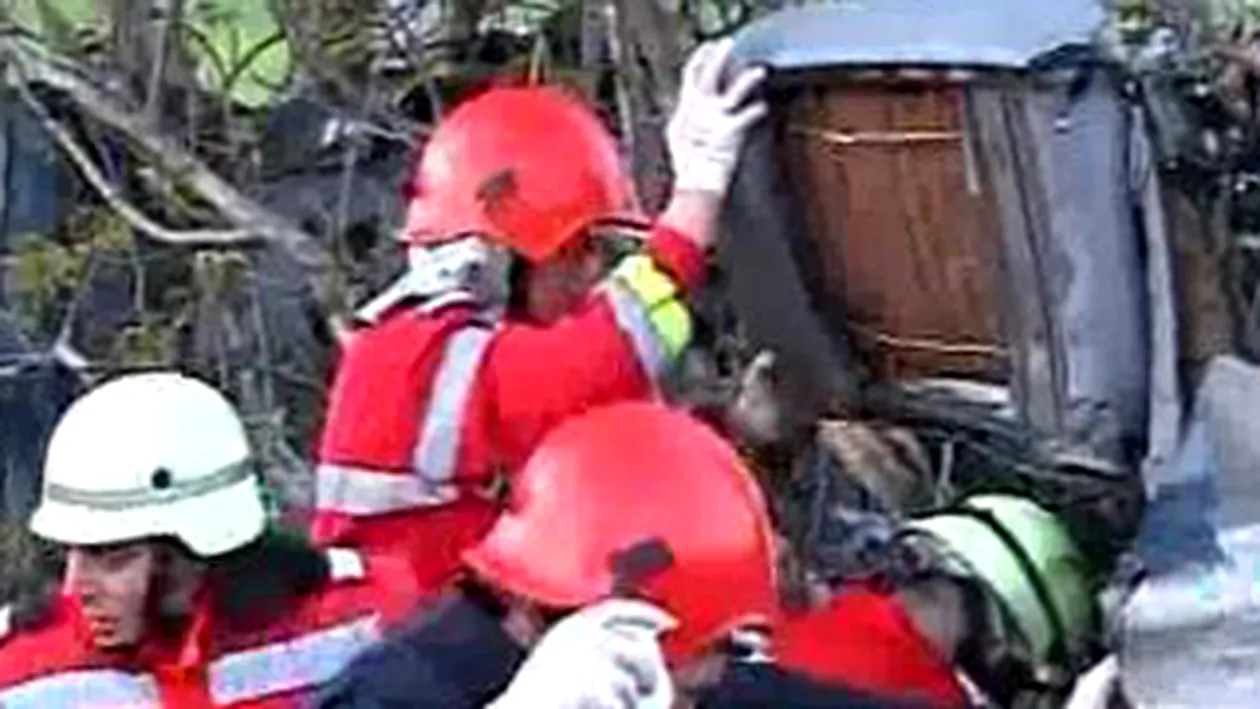 VIDEO Accident grav in Constanta: o masina a fost rupta in doua si a scos un copac din radacini!