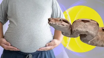 Descoperire revoluționară! Sângele de piton conține leacul secret împotriva obezității