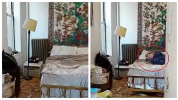 O femeie a dat nas în nas cu o ”fantomă”, în timp ce făcea un tur virtual al unui apartament