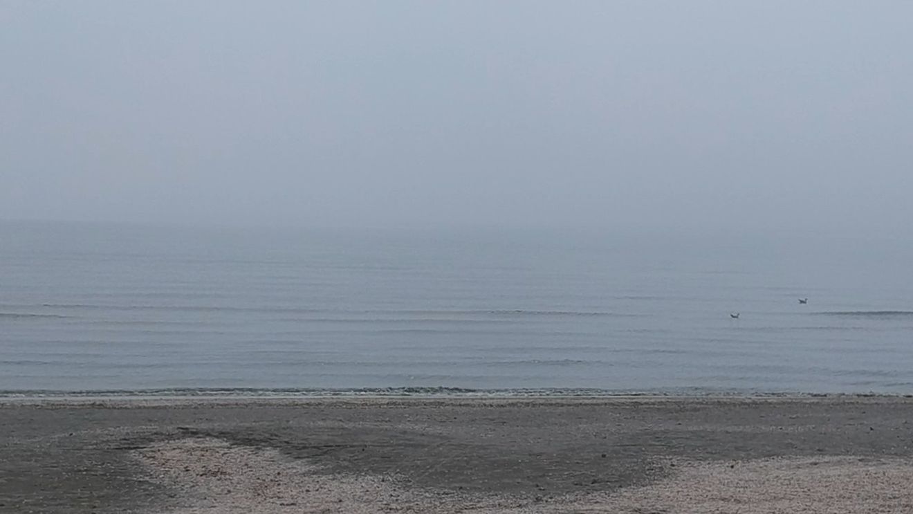 Interzis la plajă, pe malul Mării Negre, după apariţia riscului de holeră! Avertisment de ULTIMA ORĂ