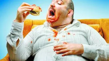 Grasii au creierul mai mic