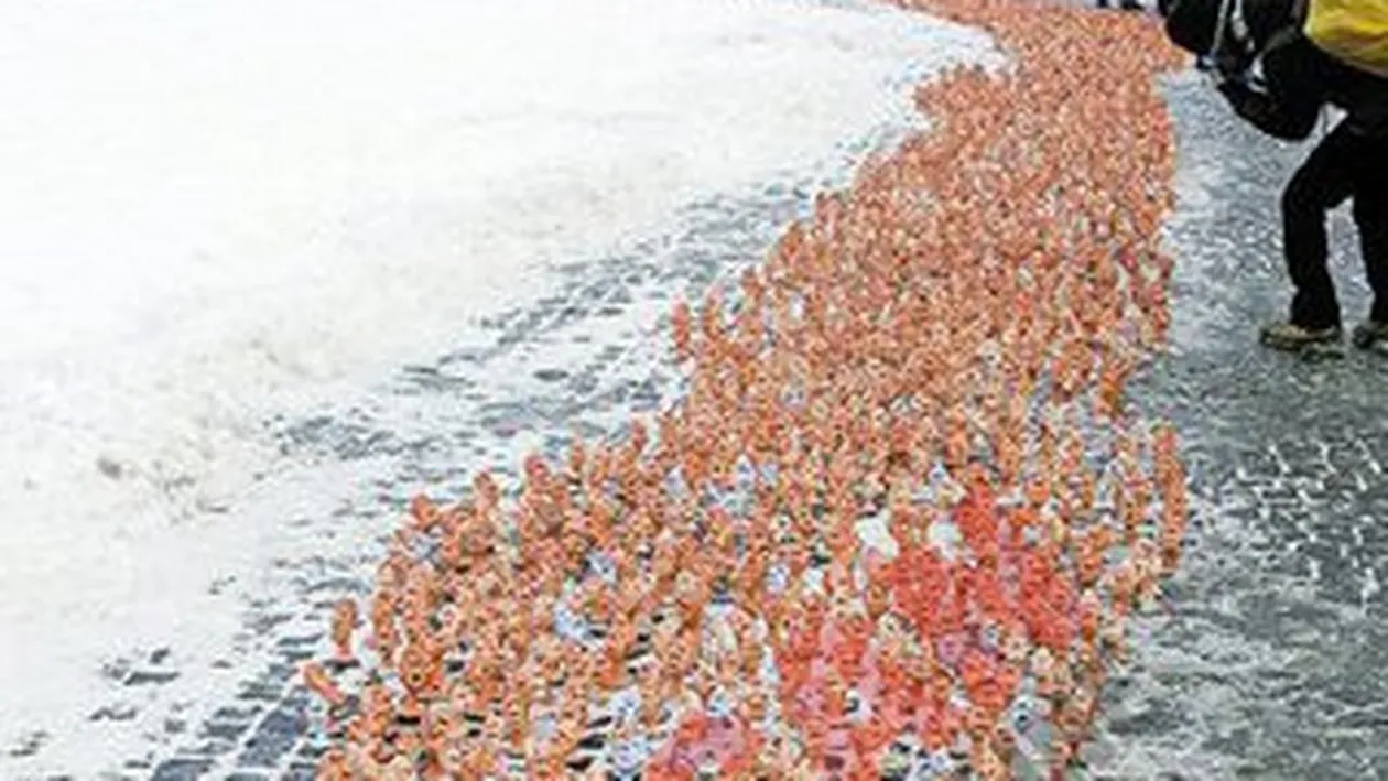 Piticii care aduc viata