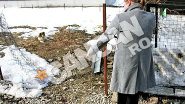 La sapte ani dupa ce a impuscat un barbat, Adrian Iovan este din nou implicat intr-un scandal cu arme de foc! Acuzat ca a ucis un caine