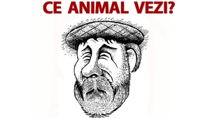 Test IQ | Ce animal vezi în această fotografie? Doar 6 din 10 observă detaliul
