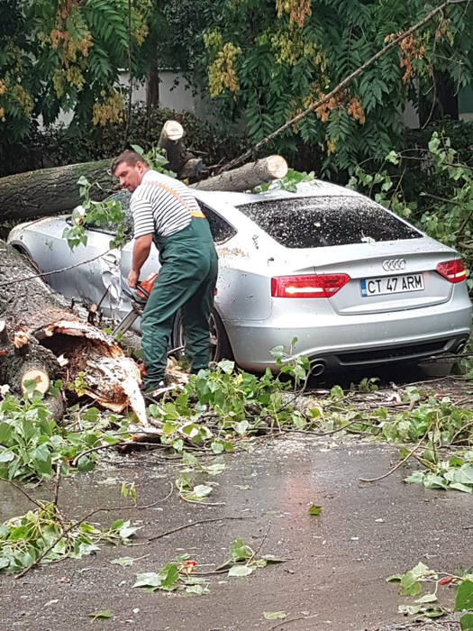 Furtună în Constanța! Vijelia și ploile au făcut ravagii