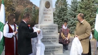 "Inscriptia de pe statuie nu respecta ceea ce spune istoria!"! Acesta este motivul pentru care un pensionar din Deva a intrat in greva foamei!