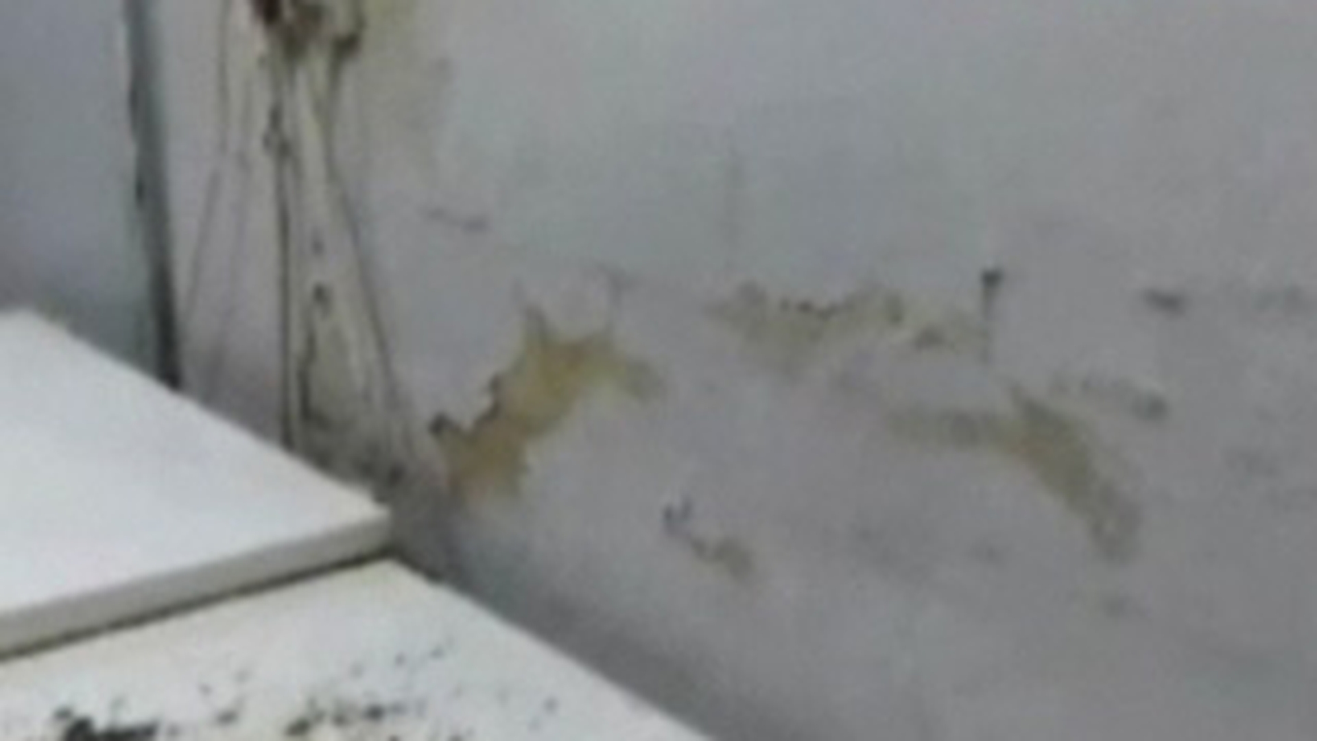 VIDEO Imagini de cosmar! VEZI AICI Cum traiesc batranii dintr-un azil din Timis