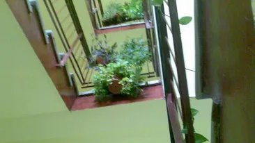 O femeie a murit dupa ce a cazut intre scarile unui bloc din cartierul bucurestean Pantelimon