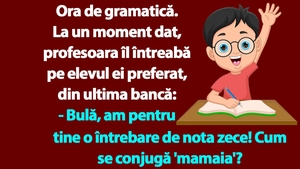 BANC | Ora de gramatică: "Bulă, cum se conjugă 'mamaia'?"