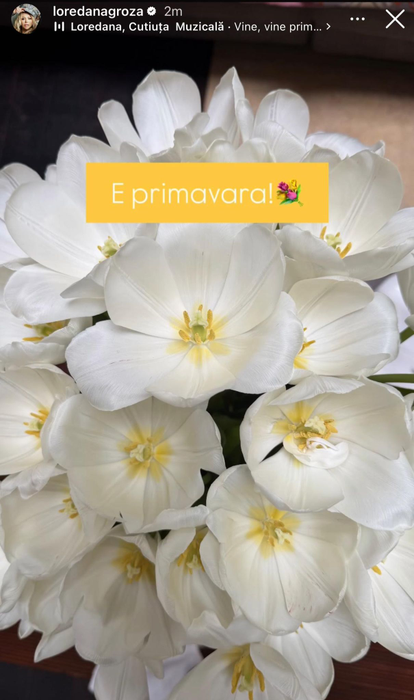 Ce au primit vedetele de 1 martie