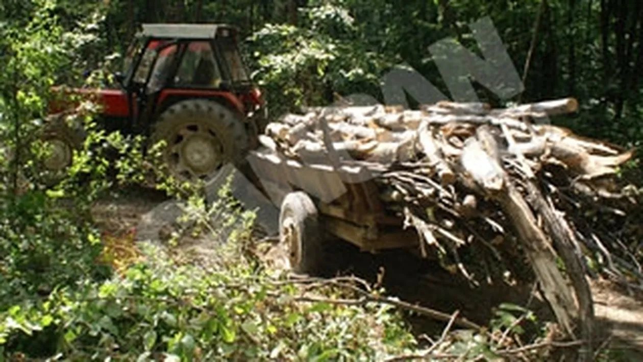 Si-a ucis tatal cu rotile de la remorca tractorului