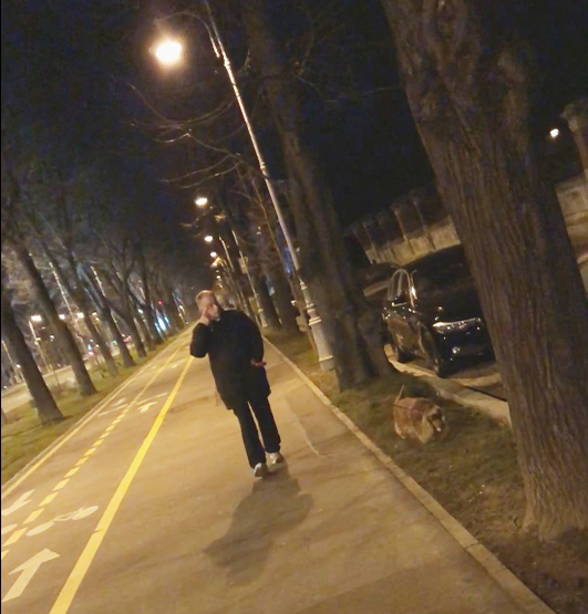 Mircea Geoană și-a scos câinele la plimbare, la miezul nopții
