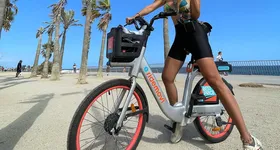 Galerie foto - poza 2