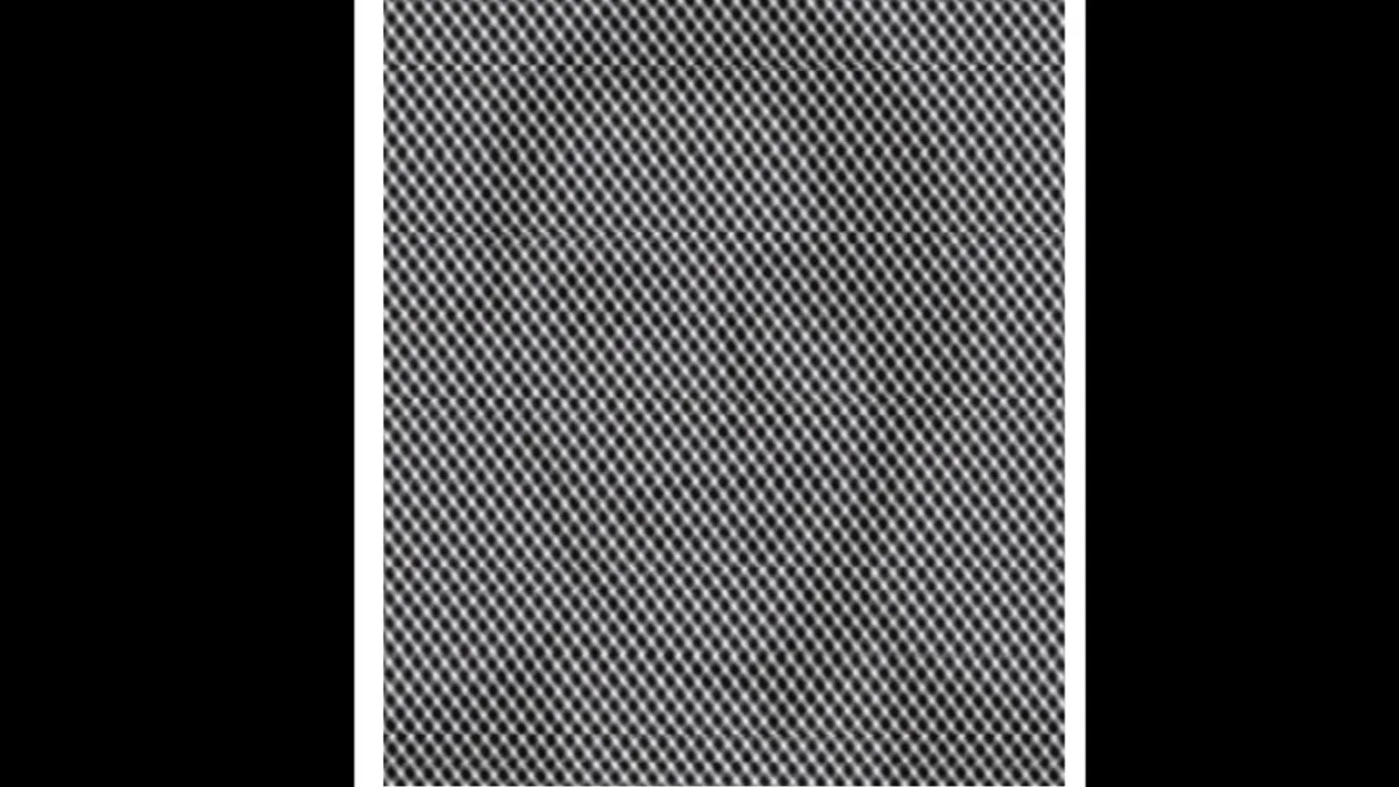 Iluzie optică virală | Ce personalitate se ascunde în această poză?