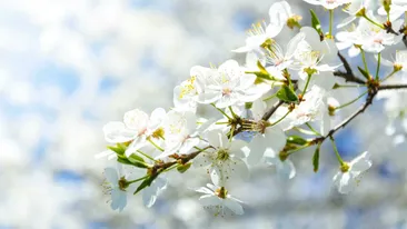 Prognoza meteo azi, 7 martie 2026. Vreme schimbătoare în estul României: dimineți reci și maxime de până la 15°C