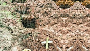 Nu se dezlipeste de mormantul stapanei