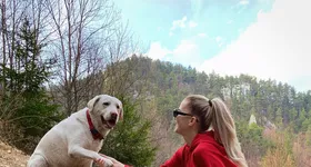 Galerie foto - poza 2