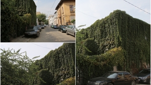Povestea terifiantă din centrul Bucureștiului. Casa diavolului, locul în care trei suflete ar fi captive
