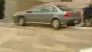 VIDEO Un sofer beat s-a urcat cu masina pe scarile Parlamentului sarb