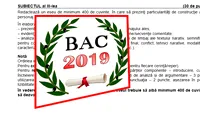 BAC 2019. Ce subiecte au picat la proba scrisă de la Limba și literatura română. Real și Uman