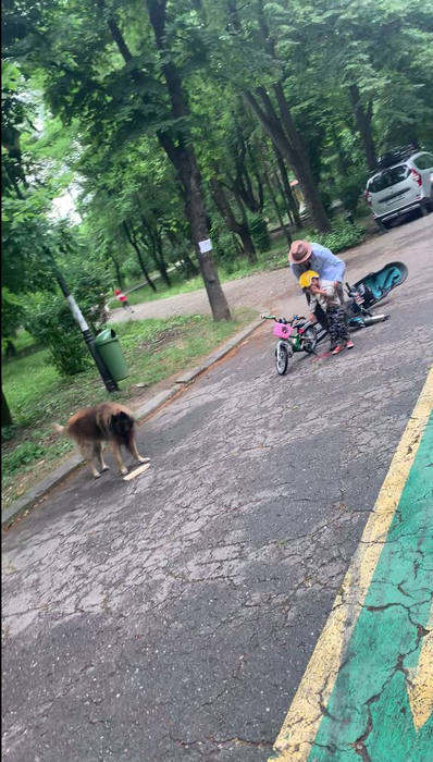 Chef Foa și fiul său, aventuri cu bicicleta (Foto: CANCAN.RO)