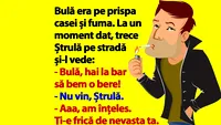 BANC | Bulă era pe prispa casei și fuma. La un moment dat, trece Ștrulă și-l vede