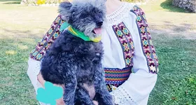 Galerie foto - poza 3