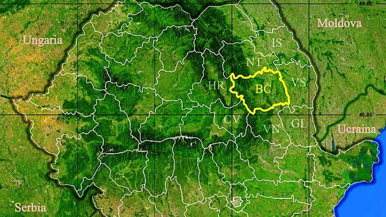 Rezultate Evaluarea Națională 2019 (Capacitate) Bacău