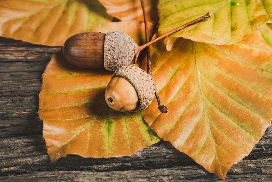 Cum va fi vremea în luna noiembrie în România. Unde va ninge înainte să vină iarna, din punct de vedere calendaristic