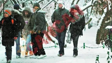 Ianis Zicu si Lavinia, ex-Spicy, romantici prin ninsoare