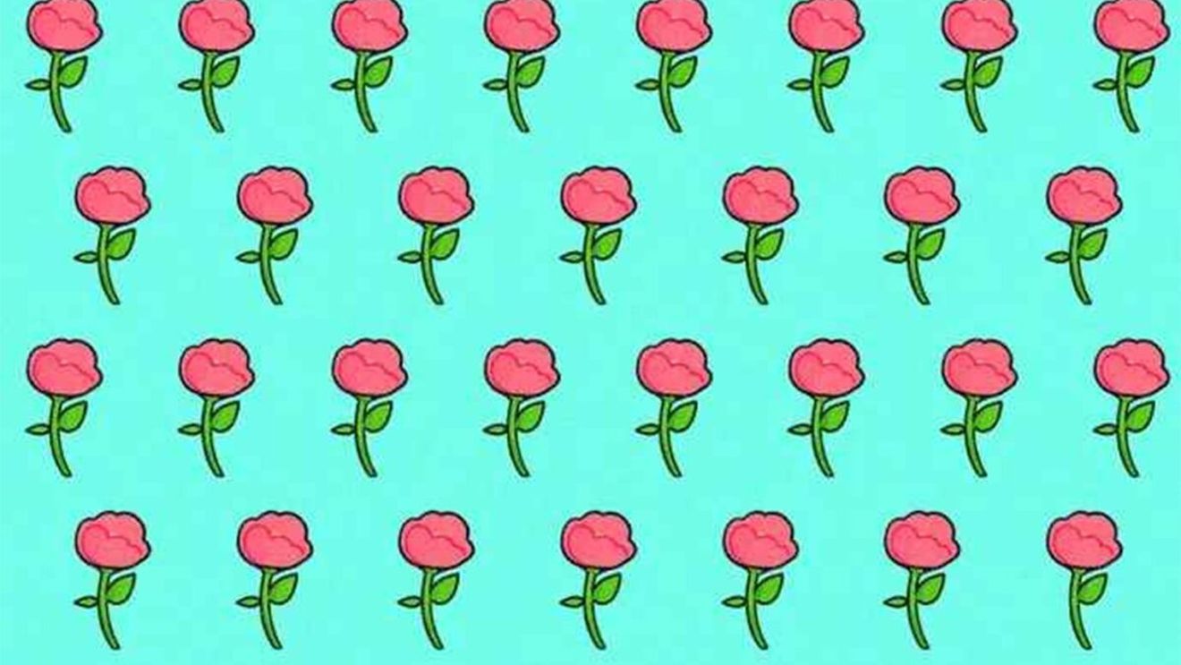 Testul celor 53 de trandafiri | Găsiți floarea diferită de celelalte, în cel mult 5 secunde