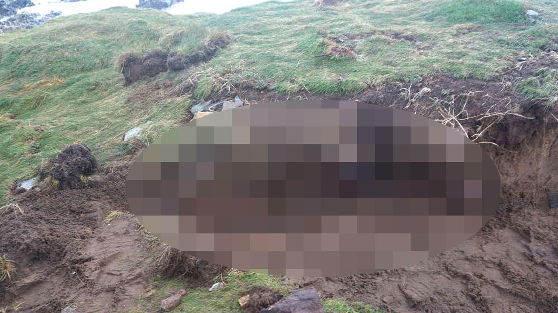 Descoperire socanta dupa uraganul Ophelia care a lovit Irlanda! Pamantul s-a surpat si a scos la iveala ceva ingrozitor. Era acolo de aproape 1000 de ani