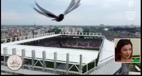 Galerie foto - poza 1