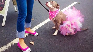 Ultima „fiţă“ în materie de fashion face ravagii printre iubitorii de animale. Foto ce fac stăpânii de câini şi pisici