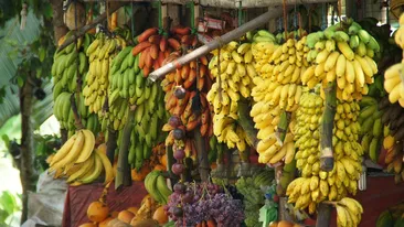 O româncă din Spania a devenit virală pe TikTok gătind cu alimente găsite în gunoi