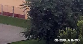 Galerie foto - poza 4