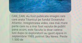 Galerie foto - poza 3