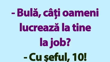 BANC | Bulă, câți oameni lucrează la tine la job?