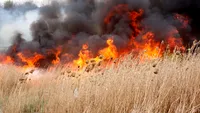 Panică pe AUTOSTRADA SOARELUI din cauza unui incendiu de vegetaţie!